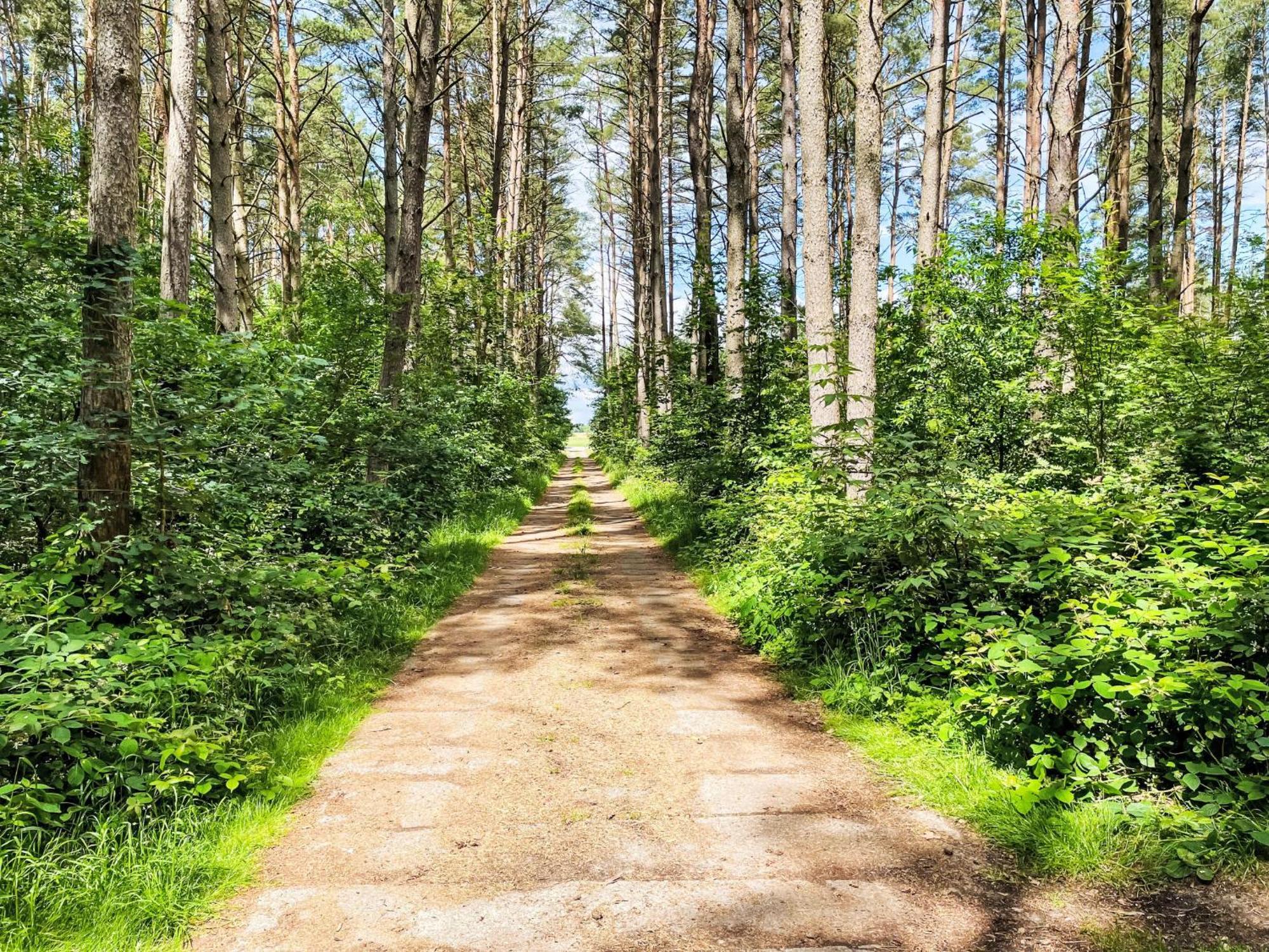 Holiday Home Silz Am Fleesensee-1 By Interhome エクステリア 写真
